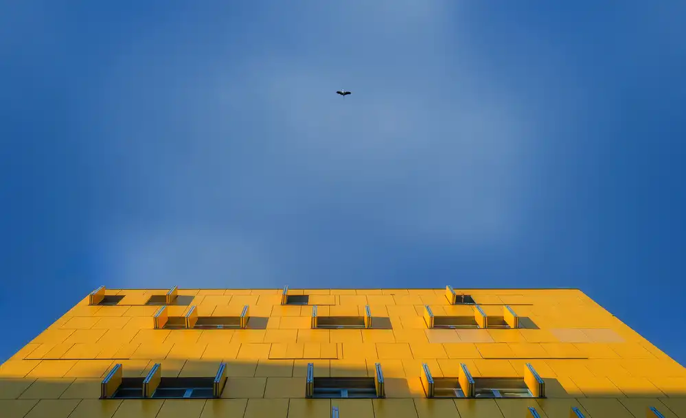 Osuna, Fran: En regardant le ciel