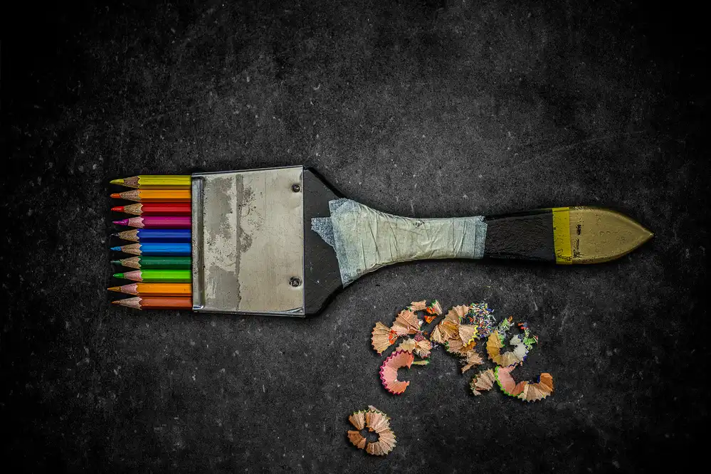 Coelho, Bernardino António: Gli strumenti dell'artista