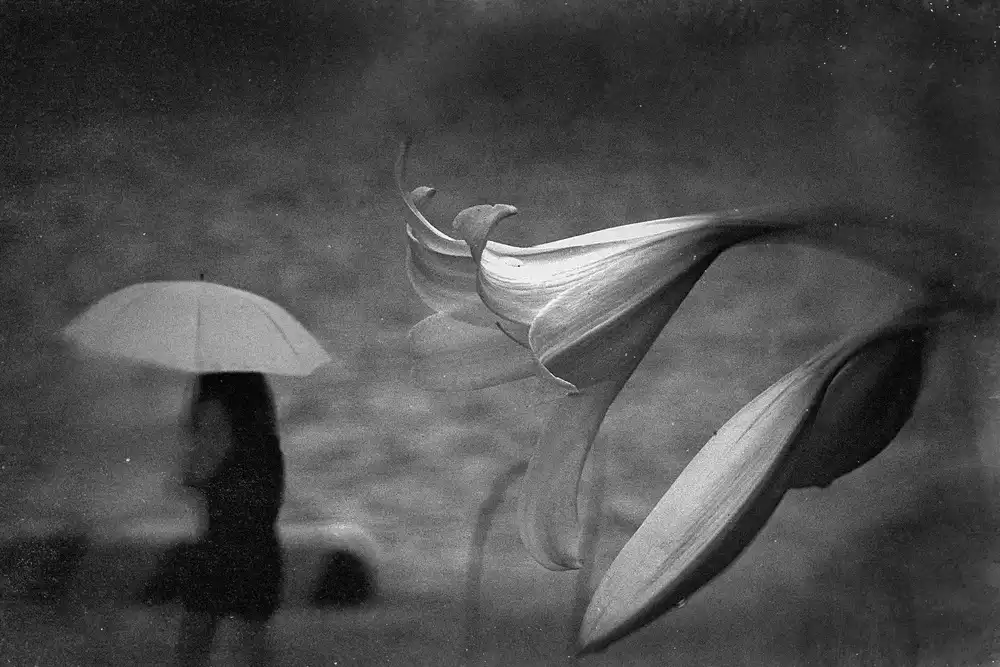 Tsuchida, Teruhiko: Nessun nome