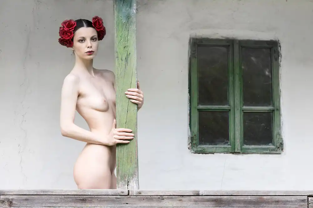 Cinteza, Marius: roses rouges