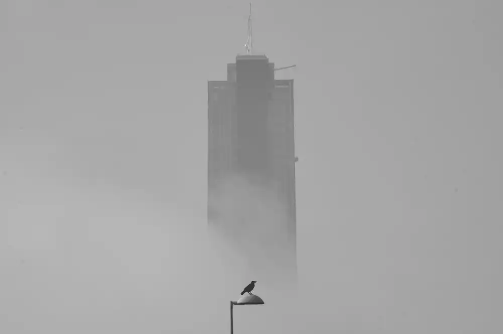 Bayram, Serdar: corvo