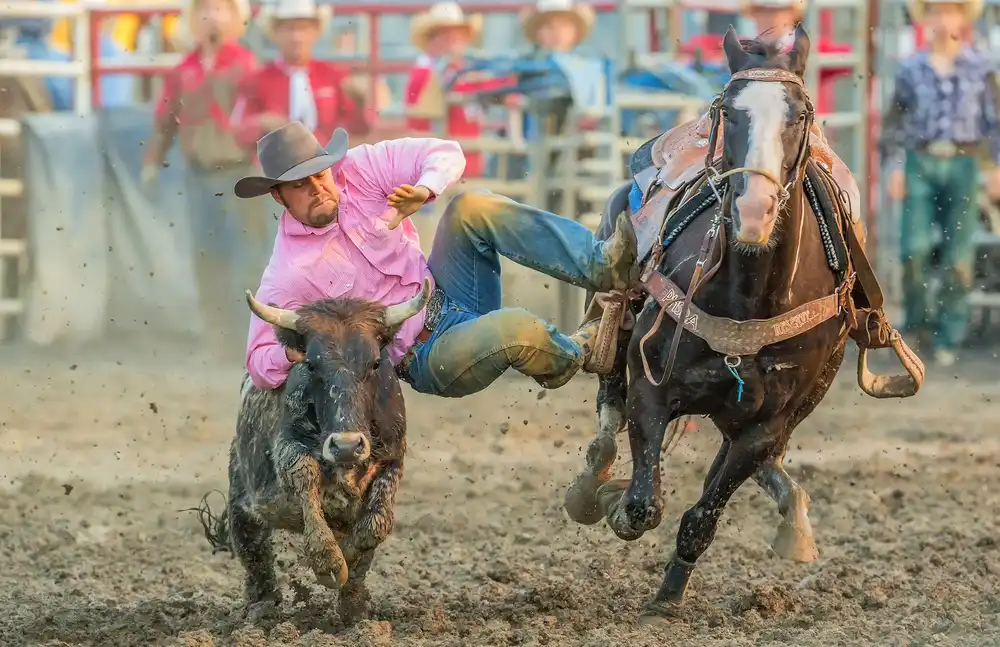 Hua, David: Steer Wrestling
