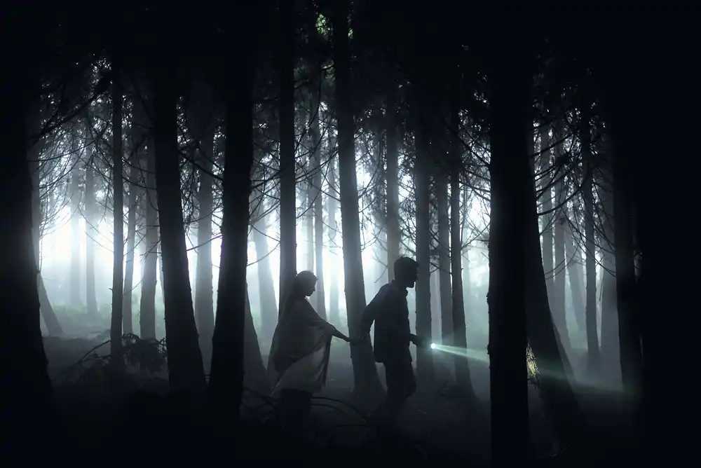 Caria, Rui: Dunkler Wald
