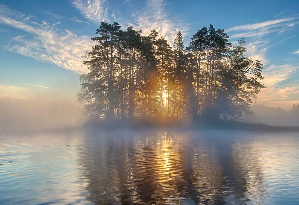 keller: Morgenlicht