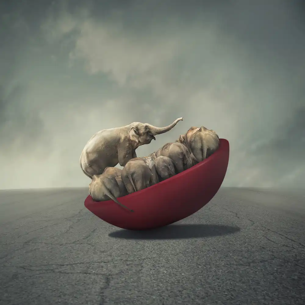 hardibudi: La vida es un equilibrio.