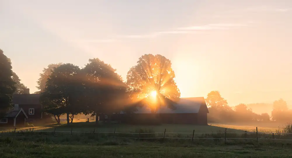 Lindsten, Christian: Der Morgen ist angebrochen