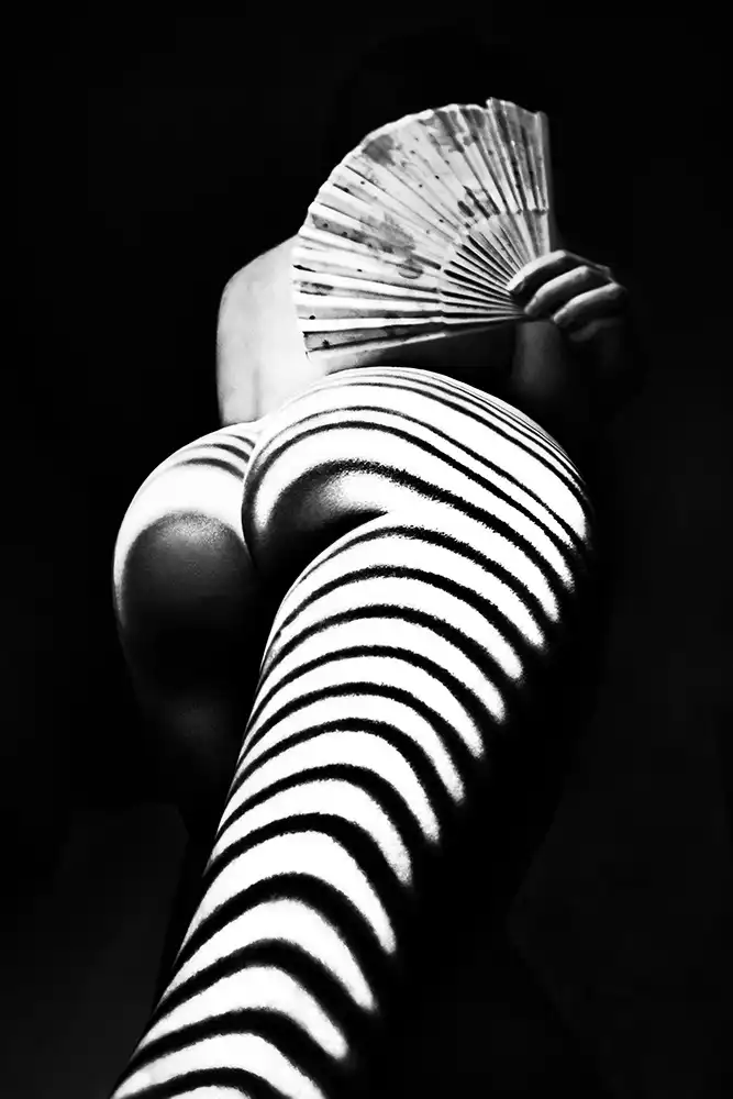 Faletkin, Mikhail: Zebra mit Fächer