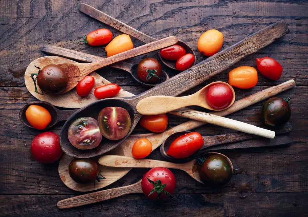 Karina, Aleksandrova: Cucharas y tomates