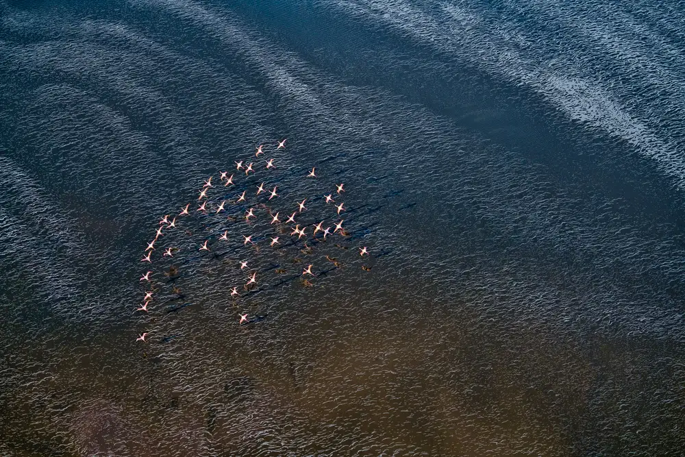 Fan, John: Wave Runner