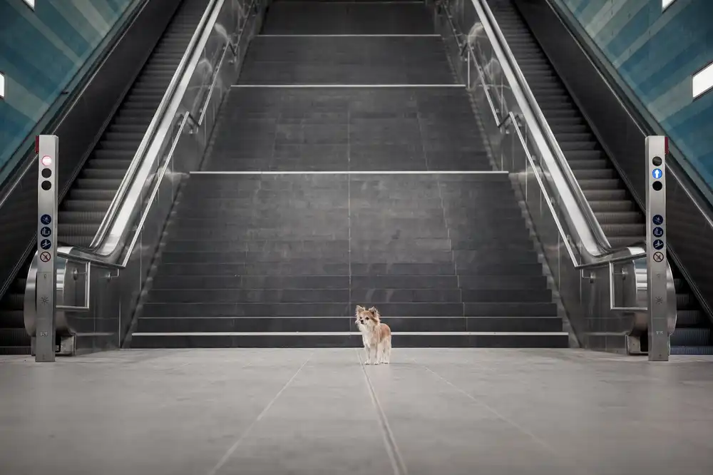 Willers, Heike: Minimalisme II.