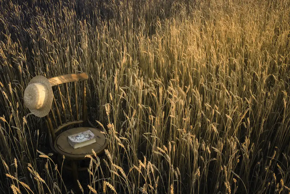 Clough, Stephen: Untitled