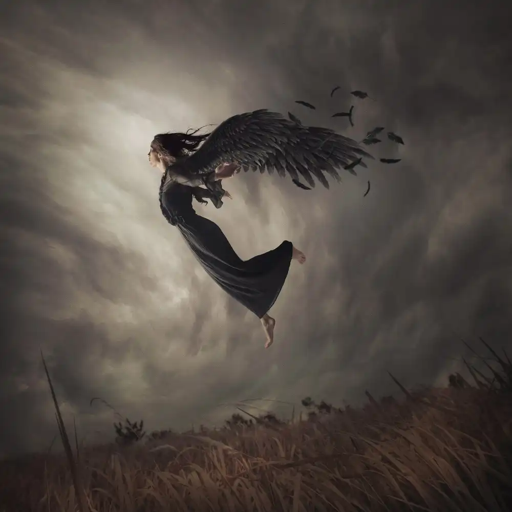 hardibudi: Cuando el ángel cae