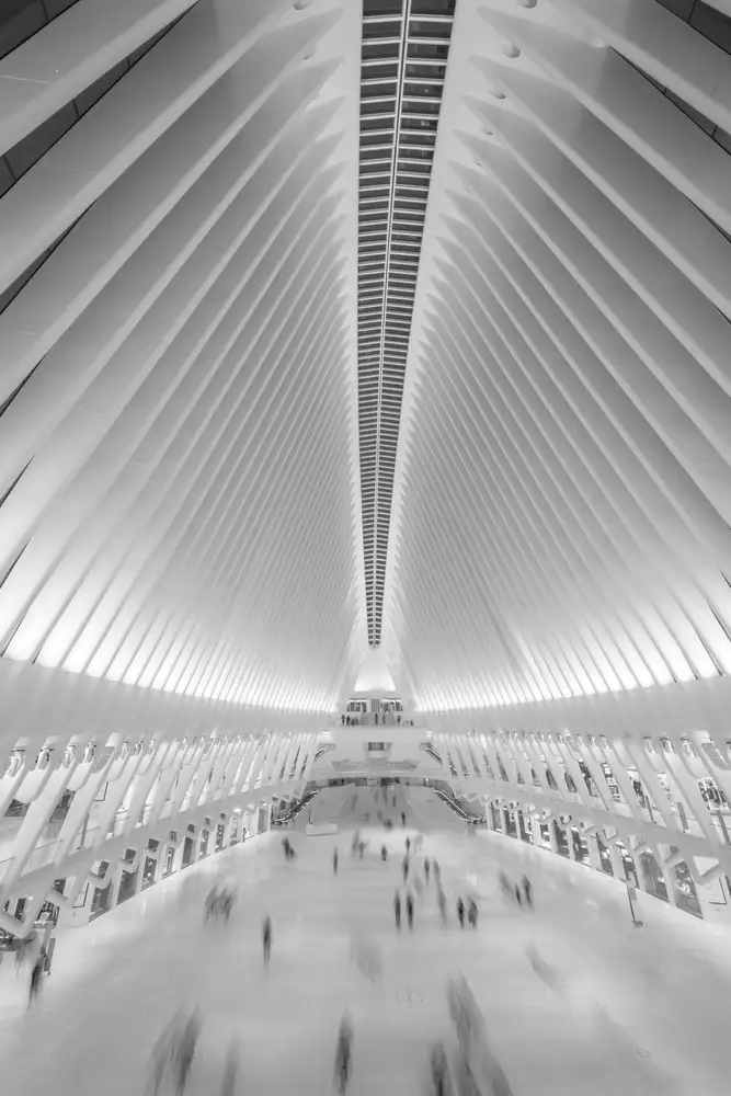 Schilbe, Stefan: New York in movimento