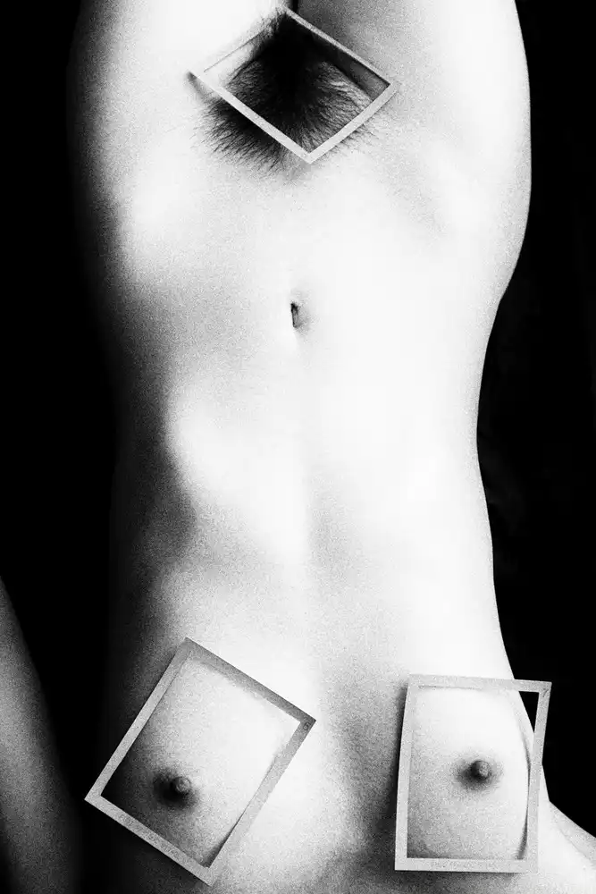 McCracken, David: Polaroids
