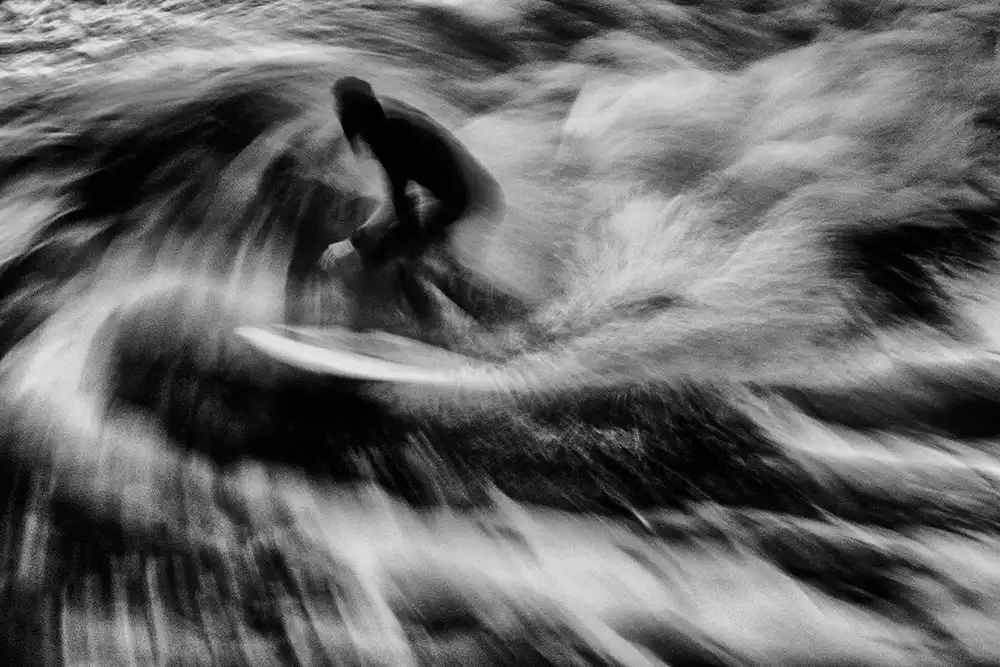 Latta, Della Massimo: Surfen 5