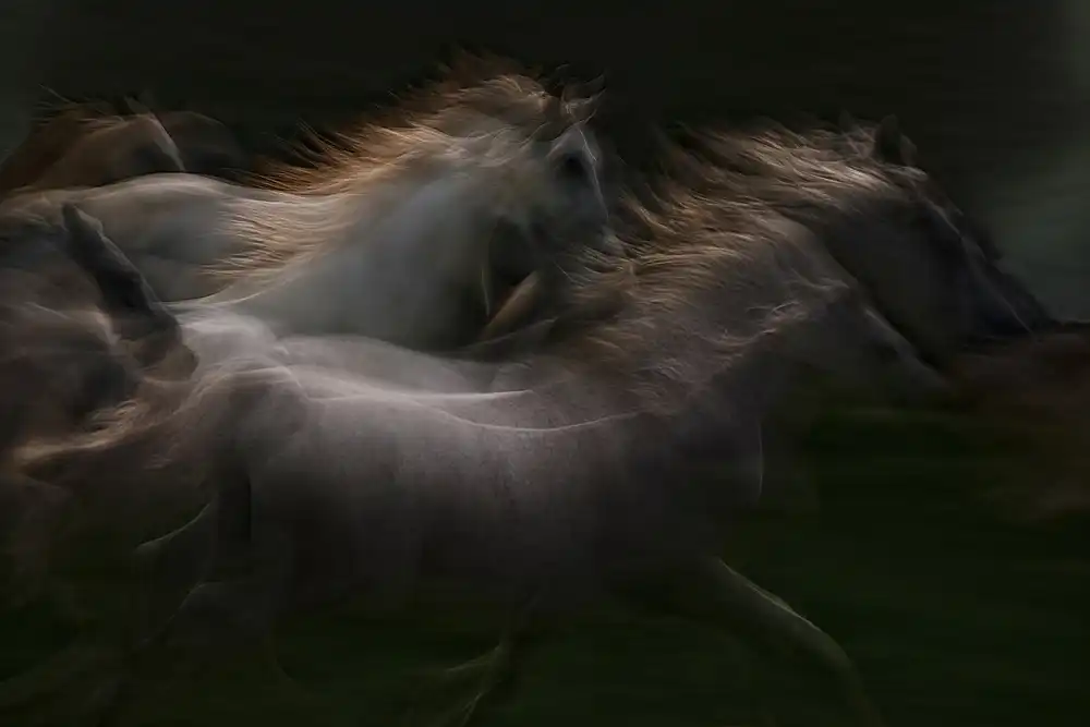 Malovrh, Milan: esata equina