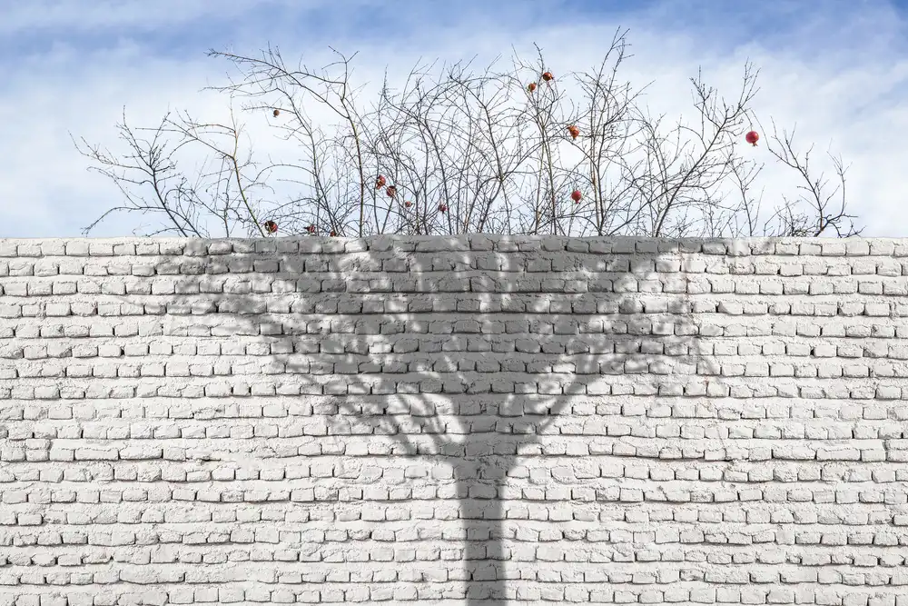 Eslamzadeh, Milad: Weiße Wand