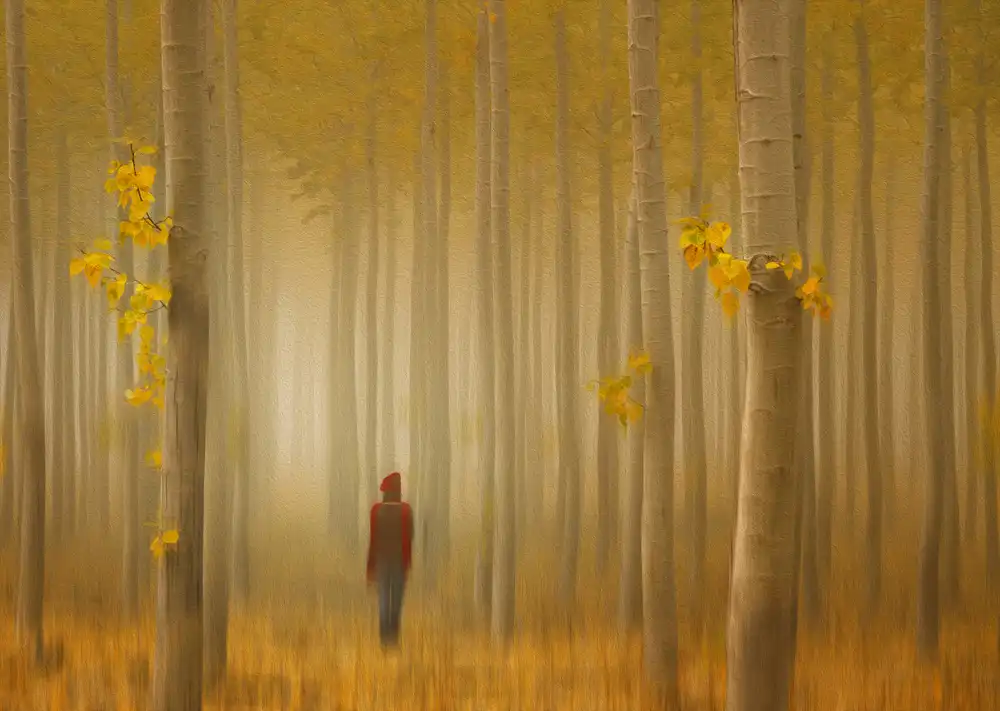 Jacobs, Lydia: Lost in Autumn