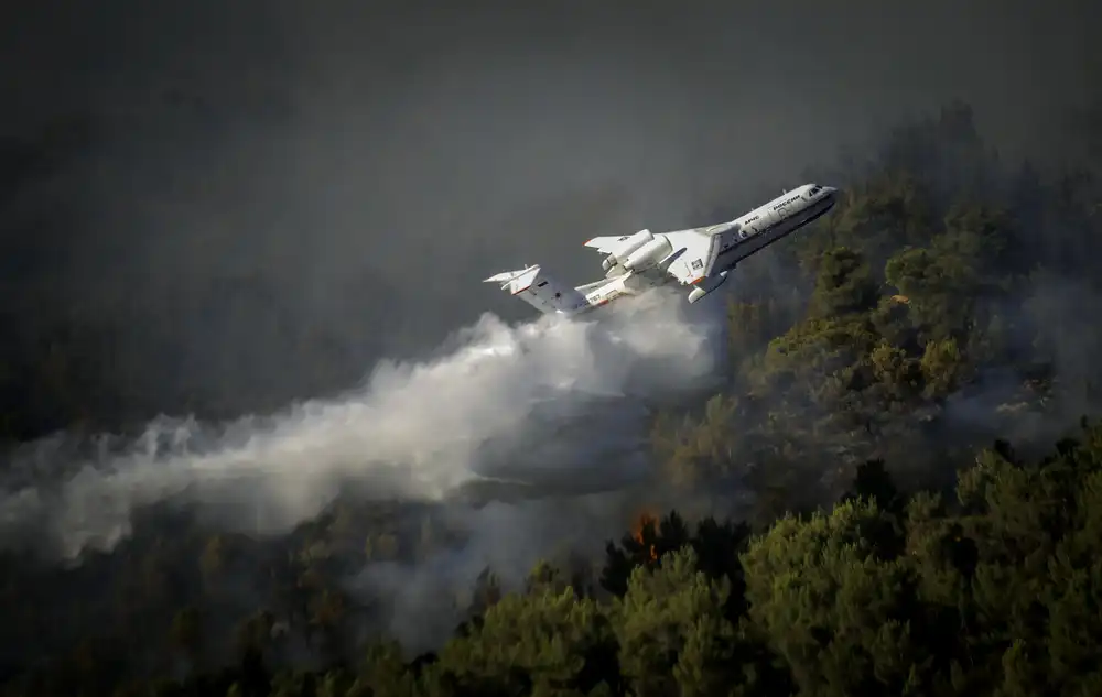 ARTIST, BASHA RABIA: Löschflugzeuge  3