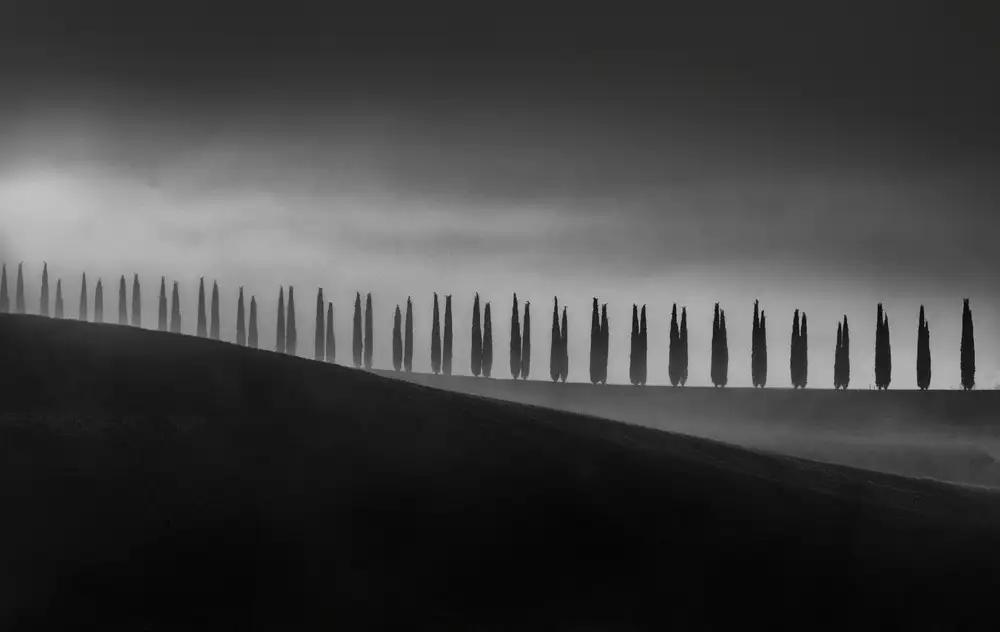 Tanev, Todor: TOSCANA