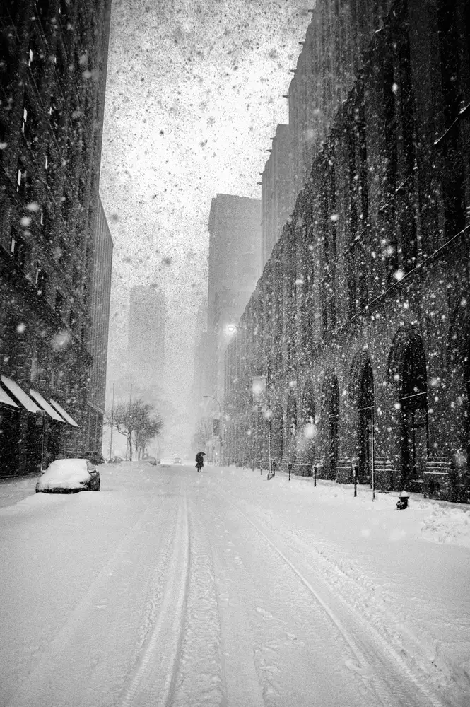 Froyda, Martin: New York Walker in Blizzard