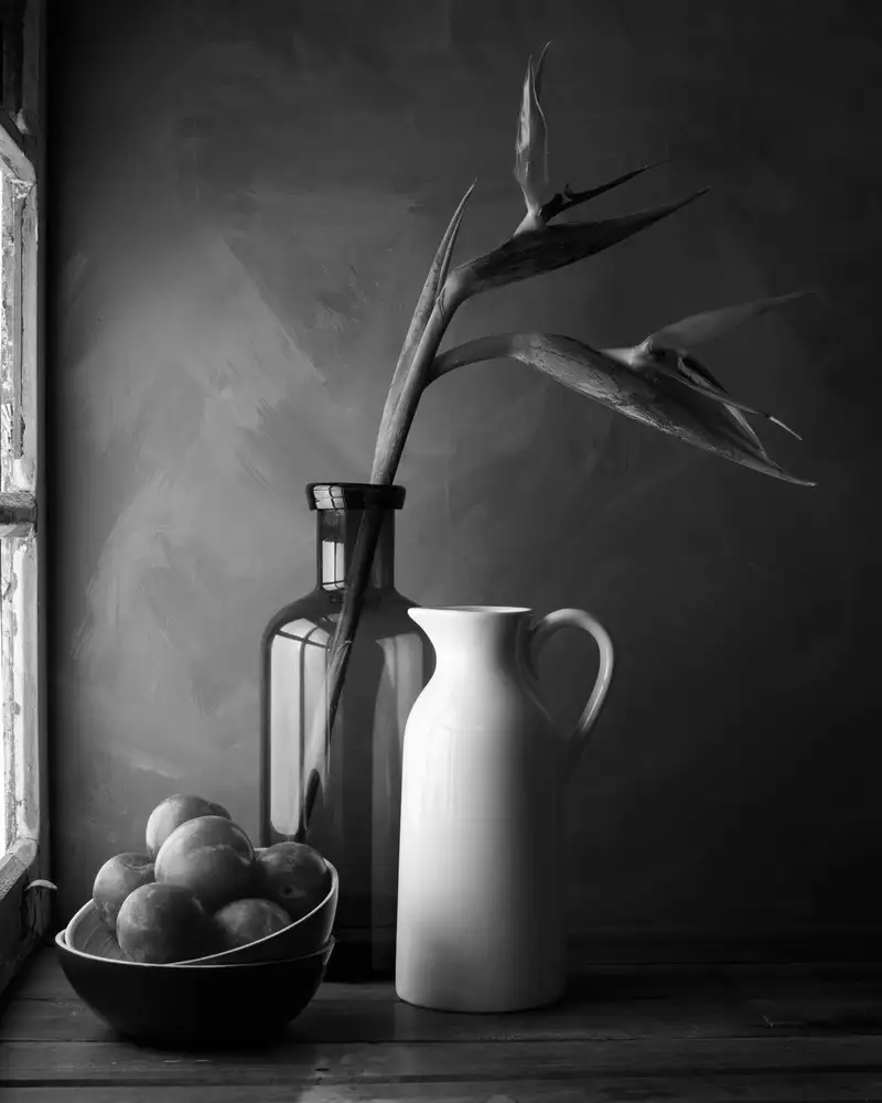 Laercio, Luiz: Plums