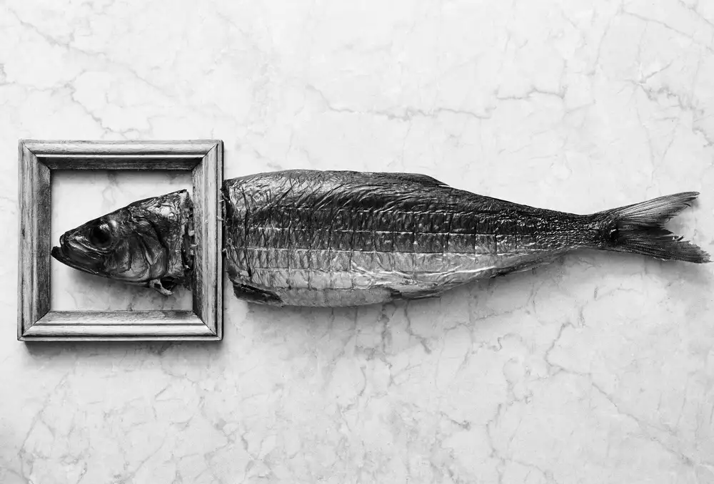 Karina, Aleksandrova: Fish portrait