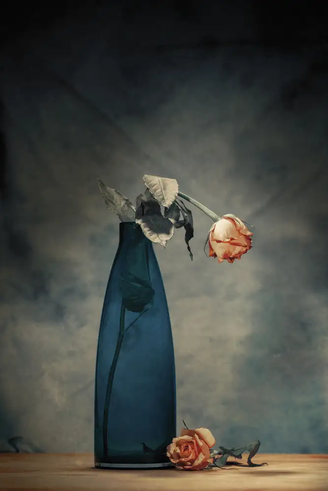 Ashton-Jones, Howard: Decay - Dying Rose
