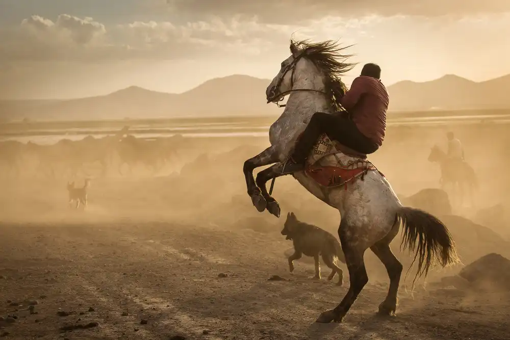 Mirica, Dan: Alle prese con i cavalli selvaggi della Cappadocia