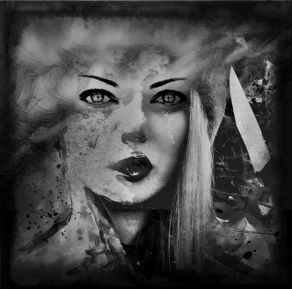 Davidovic, Dalibor: shadows ( Portrait )