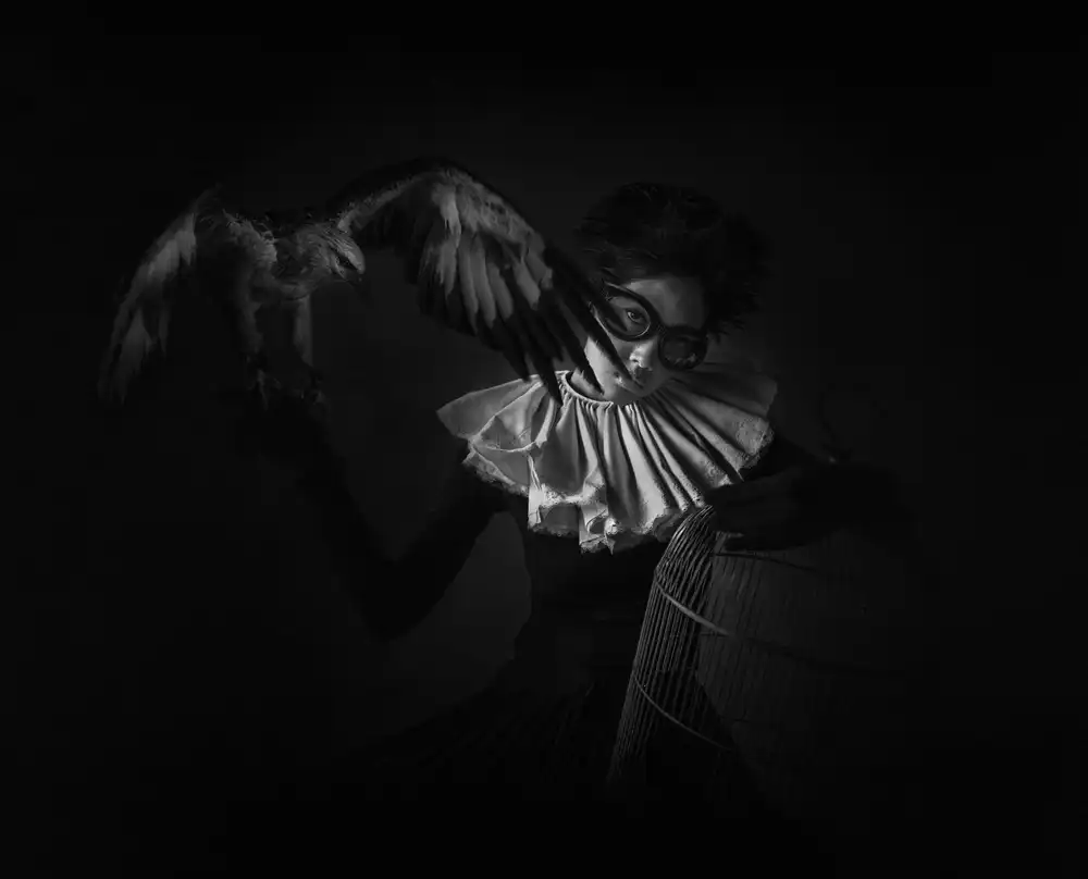 hardibudi: Debajo de tus alas