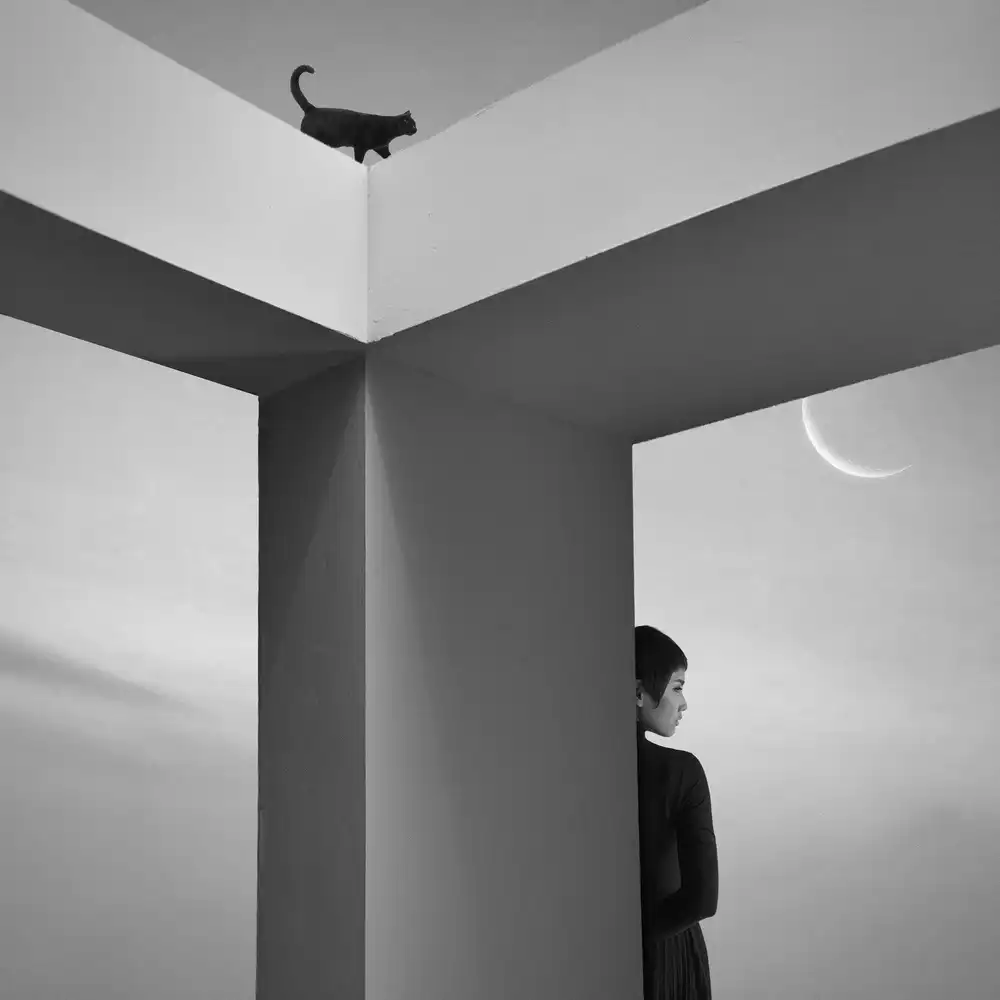 hardibudi: Brilla en la luna plateada