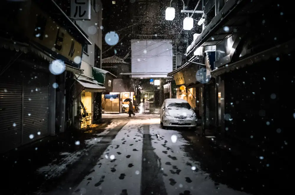 Hashimoto, Tetsuya: Città innevata