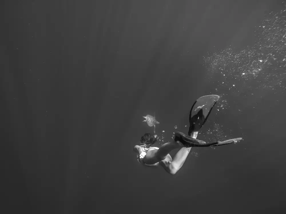Gispert, Salgado Gloria: Profondo