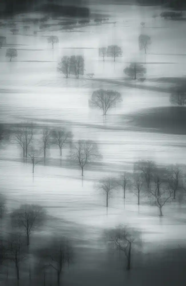 Tianqi: Neve di buon auspicio