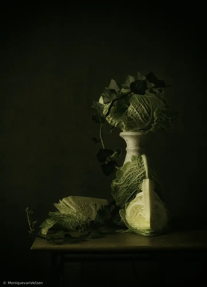 Velzen, van Monique: Still life Curly Cabbage
