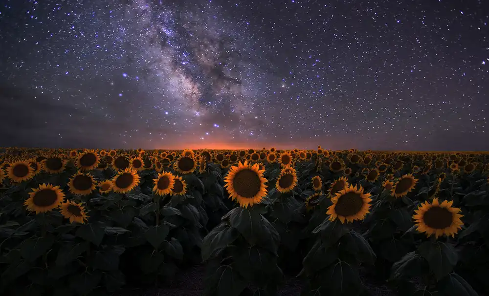 Xu, Mei: Paesaggio da sogno