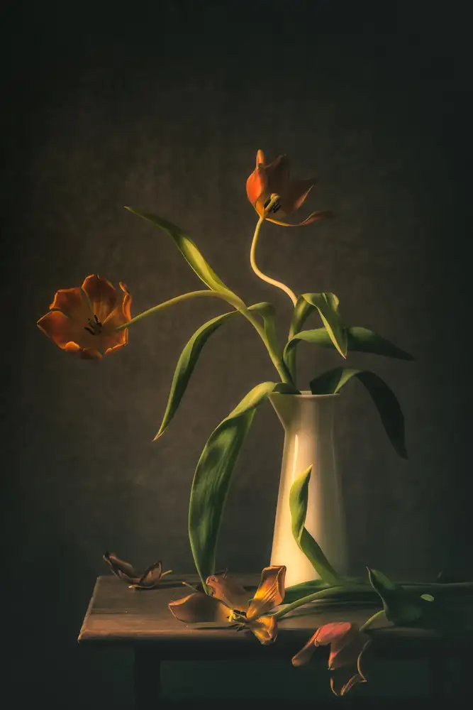 Velzen, van Monique: Wilted Tulips