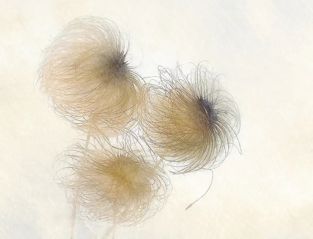 Talen, Nel: Im Wind