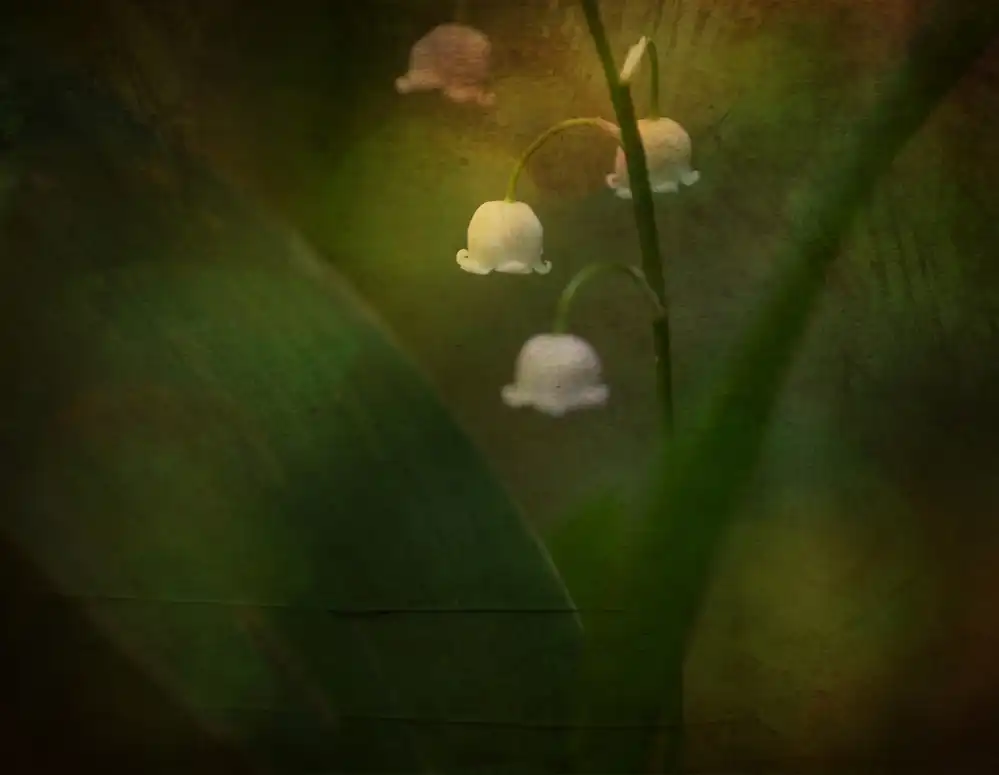 Eisenmann, Ulrike: Rêver de printemps - Muguet