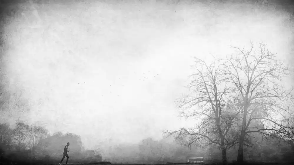 Quaglia, Nicodemo: Rennen im Nebel