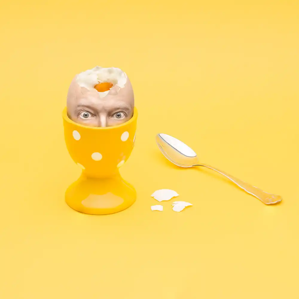 Damstén, Petri: Intellectuel
