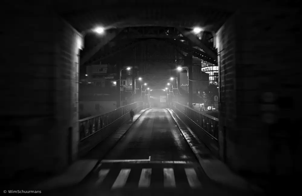 Schuurmans,,,, Wim,,,: À mi-chemin du Pont Luís I