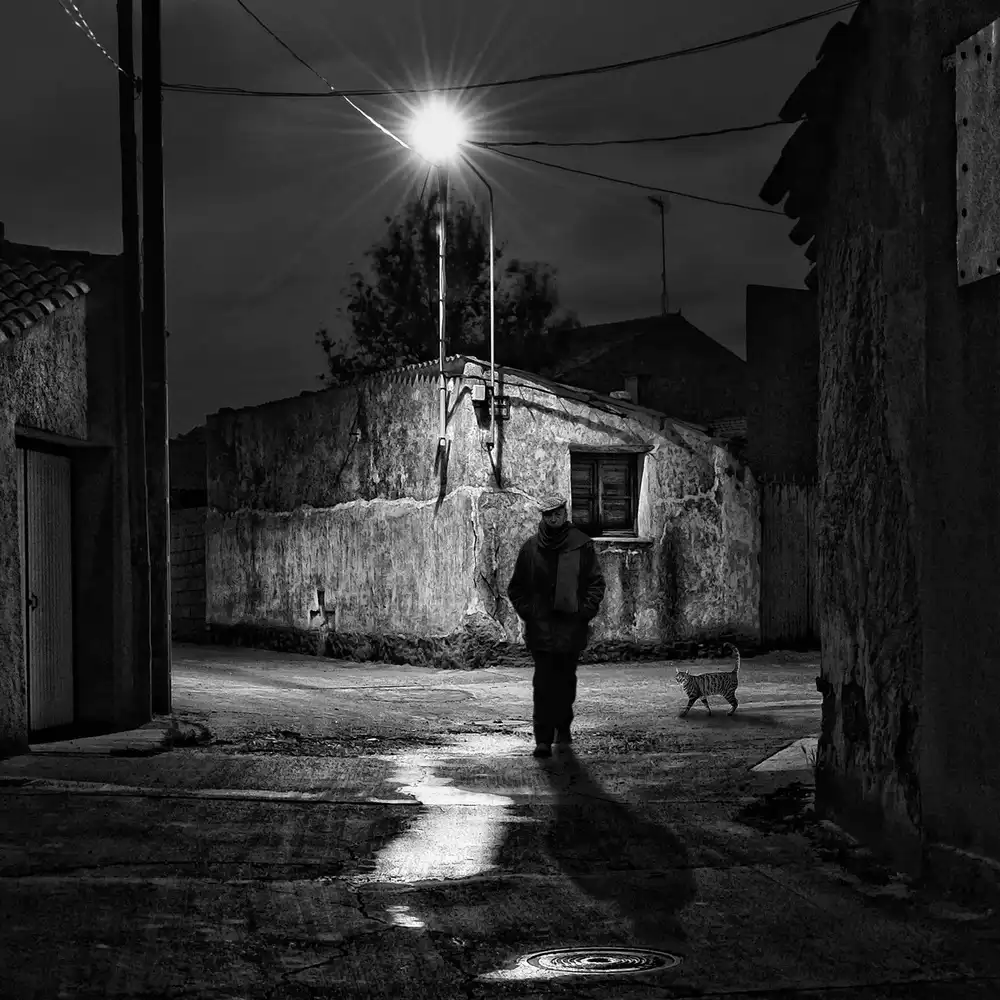 Lobato, C. Jose: Solitudine