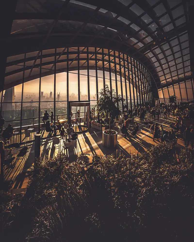 George, David: Sky Garden