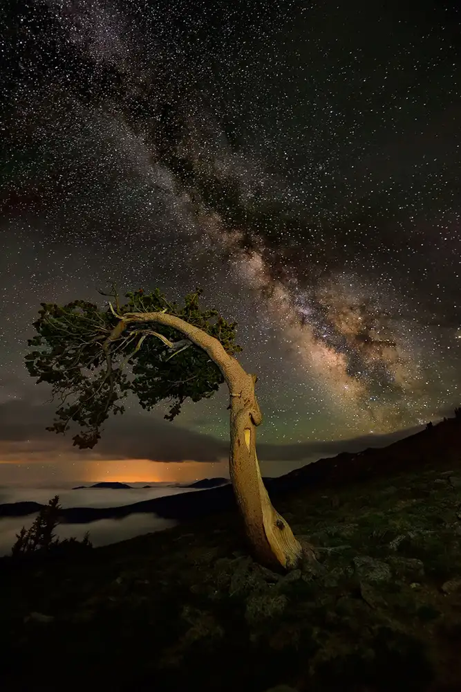 Xu, Mei: Compagno notturno