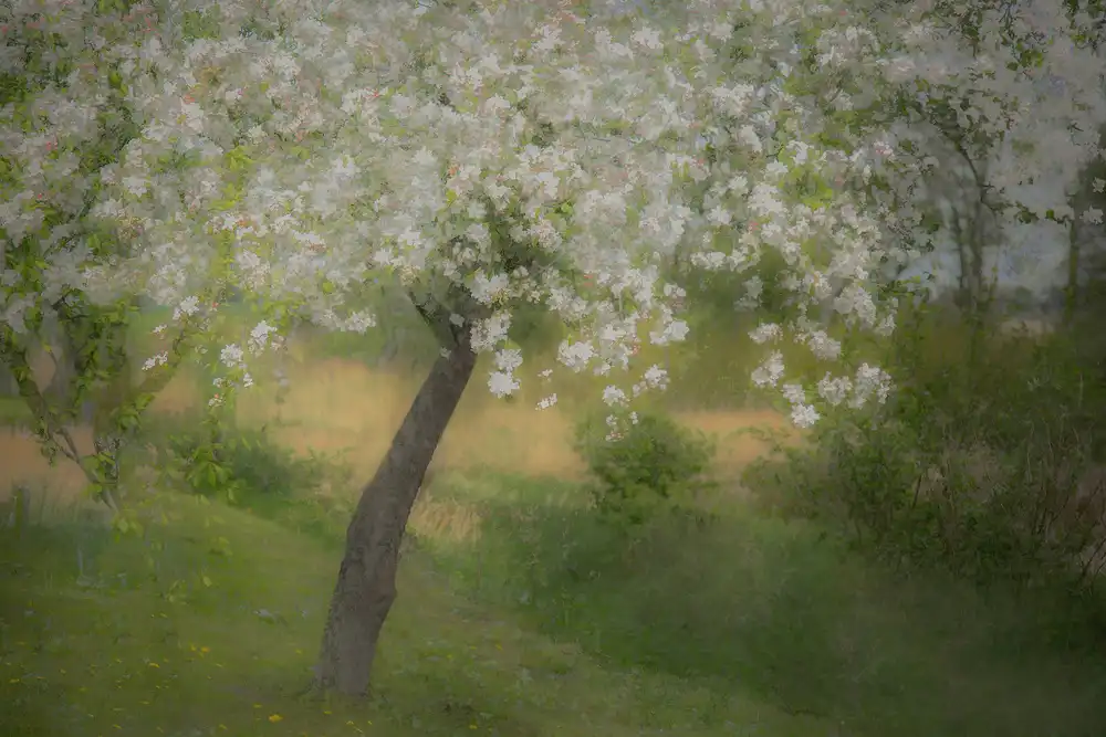 Talen, Nel: Im Garten