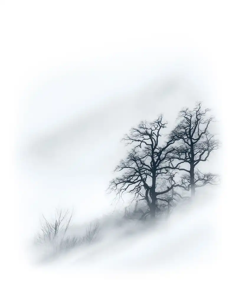 Behzad, Majid: Alberi nella nebbia