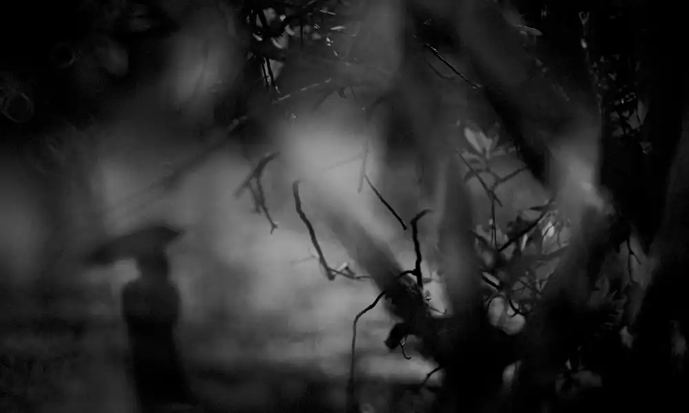 Tsuchida, Teruhiko: Solitudine
