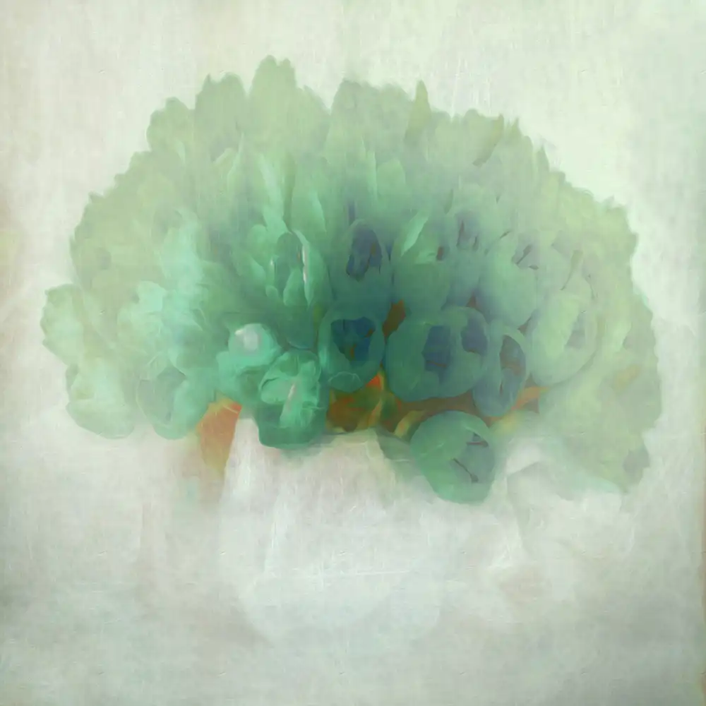 Claes, Gilbert: pulchritudo temporalis II